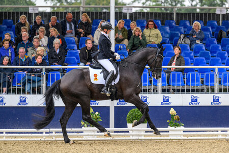 Dante´s Sunrise unter Ines Fleischmann sicherte sich bei den vierjährigen Stuten und Wallachen ein Finalticket. | Foto: Equitaris
