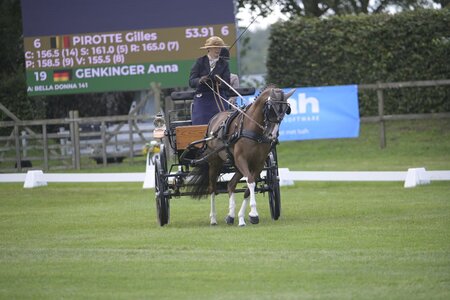 Foto: Andreas König | hippoevent.at