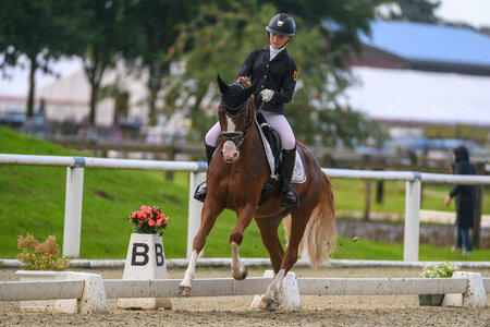 Auf den Landesmeistertitel folgt für DSP Der kleine Champion und Amelie Bertazzoni nun der direkte Einzug ins Finale der sechsjährigen Dressurponys. | Foto: Equitaris