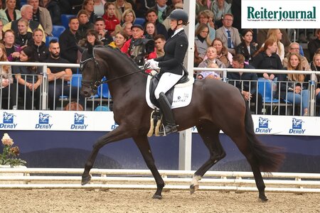 Elocin und Anna Casper trabten bei den dreijährigen Hengsten direkt ins Finale. | Foto: Bischoff