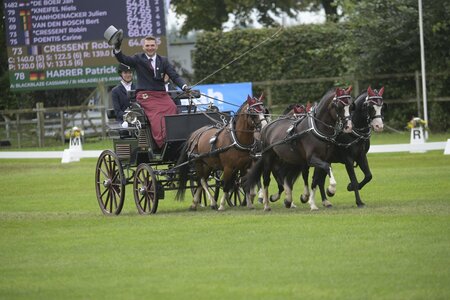 Fotos: Andreas König | Hippoevent.at
