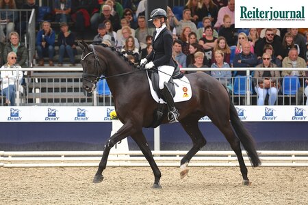 Dante´s Sunrise zählte bei den vierjährigen Stuten und Wallachen zu den Finalisten. | Foto: Bischoff