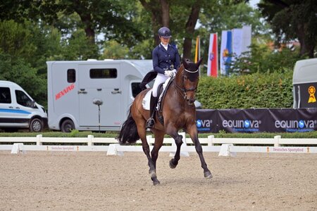 Francis brilliert mit hoher Lektionssicherheit. | Foto (Archiv): Dill