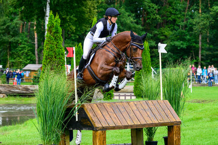 Hey Lucky Stan und seine Reiterin Sophie Leube überzeugten beim Bundeschampionat. | Foto: Equitaris