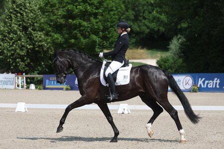 Anna-Lisa Schepper waren bei den sechsjährigen Dressurpferden ins Finale getrabt. | Foto (Archiv): D. Matthaes