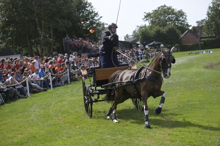 Fahrt zu Doppel-Bronze: Anna Genkinger aus Pfalzgrafenweiler | Foto: Andreas König | hippoevent.at