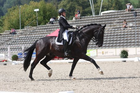 Foto (Archiv): D.Matthaes