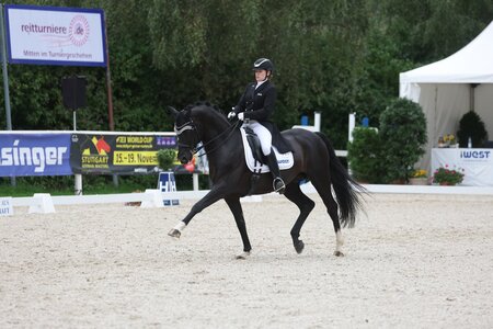 Sabrina Linsenmaier und FBW Fiorenzo waren auch in Donzdorf hocherfolgreich. Foto: Matthaes