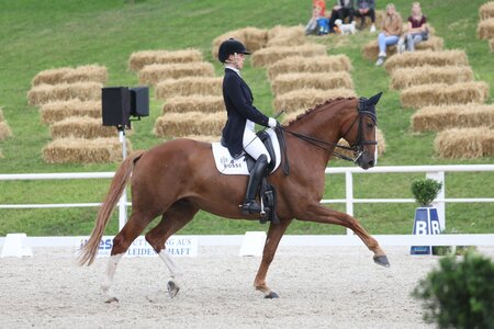 Die amtierende Landesmeisterin der Amateur-Dressurreiter, Marie-Christin Kogel, wird nach Münster reisen. | Foto: D. Matthaes