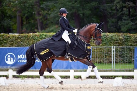 Ann-Kathrin Lachemann heimste bei der dritten Qualifikation des IWEST Dressur Cups die volle Punktzahl ein. | Foto: Dill