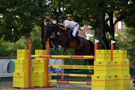 Günter Treiber sprang im Deutschen Berufsreiterchampionat zur Silbermedaille und sicherte sich im Großen Preis von Darmstadt den Sieg. | Foto: Dill