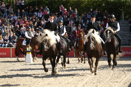 Die Marbacher Kaltblüter in Aktion. Foto: Matthaes