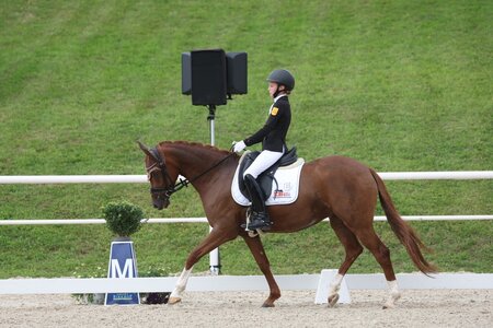 Franka Müller zählt beim Bundesnachwuchschampionat Pony zu den baden-württembergischen Finalisten. | Foto: D. Matthaes