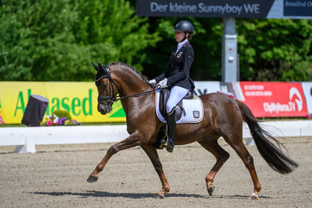 Zuletzt war Der kleine Sunnyboy unter Maria Teresa Pohl erfolgreich. Foto: Equitaris