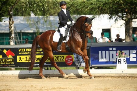 Foto (Archiv): D. Matthaes