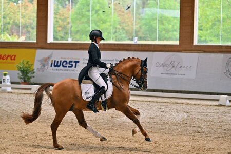 Ann-Cathrin Rieg feierte mit ihrem Steendieks Derrick einen bärenstarken dritten Platz. | Foto: Dill