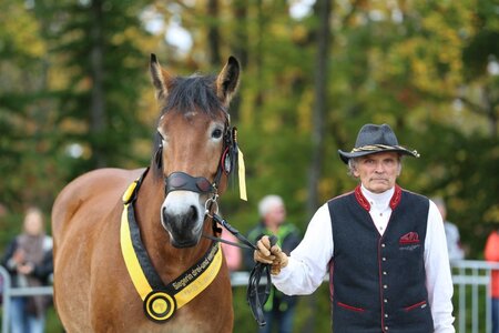 Foto (Archiv): G. Knisel-Eberhard