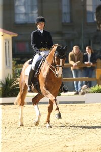 Marie-Christin Kogel siegte mit ihrem Doc-Holliday in der Intermediaire I von Reutlingen. | Foto: D. Matthaes