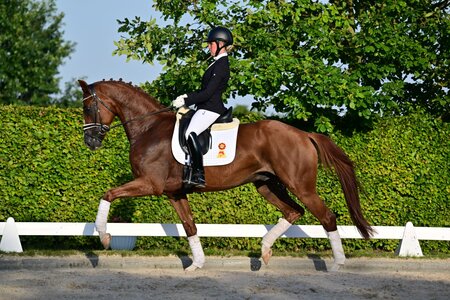 Foto: Björn Schröder