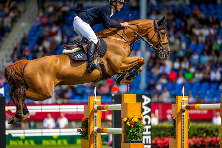 In Aachen waren Richard Vogel und Cepano Baloubet im Allianz-Preis siegreich. Foto: Lafrentz