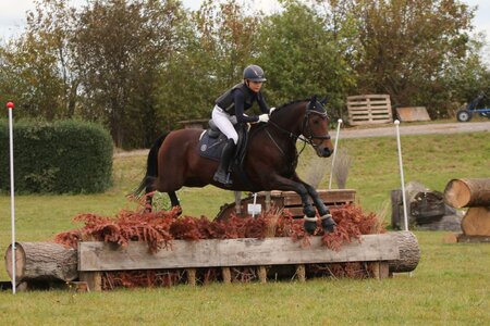 Amelie Striebel und Wichhof´s Dacary. Foto: Kachler