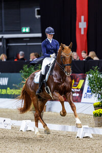 Der Start in die Hallensaison ist für Carina Harnisch und ihren imposanten Fuchs Sheldon Cooper geglückt. Foto: Lafrentz