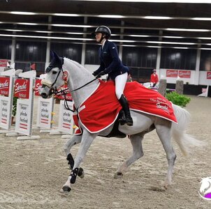 In Linz läuft es: Pia Reich holt sich mit Djazz D-Arvor Sieg Nummer zwei. Foto: Social Media