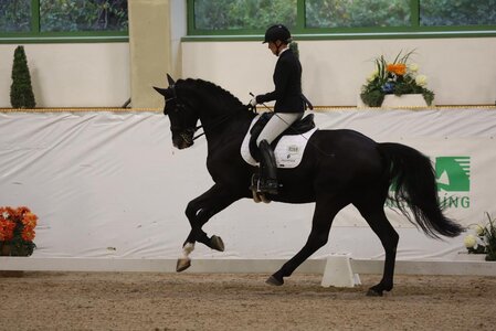 Nicole Casper und Zabalou standen in einer S*-Dressur ganz vorne. | Foto: D. Matthaes
