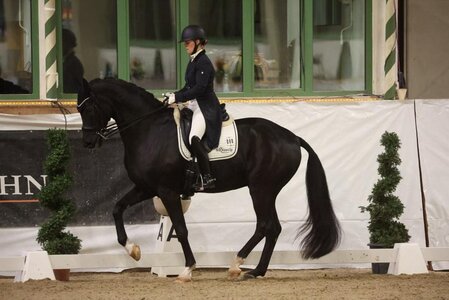Julia Kühn und ihr DSP Fürstano schafften es ins Halbfinale DERBY Stars von Morgen. | Foto: D. Matthaes