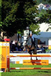 Auch in diesem Jahr findet die Ponyfachtagung statt. | Foto: D. Matthaes