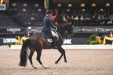 Franz Trischberger siegte mit Sarotti in der Einlaufprüfung zum IWEST Dressur Cup. | Foto: TomsPic