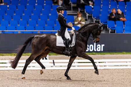 Felicitas Hendricks trabte mit Drombusch zum Sieg in der Einlaufprüfung zum Finale des Piaff-Förderpreises. | Foto: Lafrentz