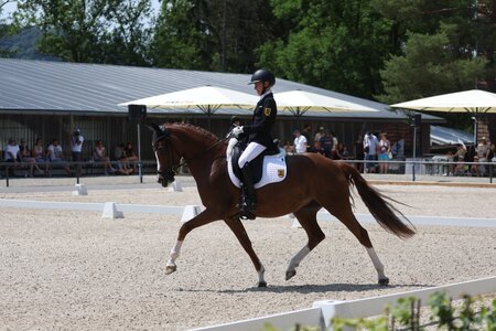 Maya Wächter und New Wave sind über die Saison immer besser zusammengewachsen. Foto: Matthaes 