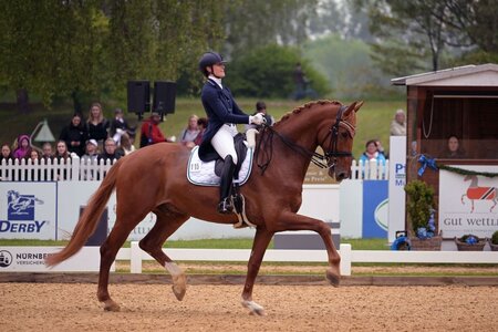 Carina Harnisch und DSP Sheldon Cooper dürfen im Nürnberger Burgpokal nachrücken. | Foto (Archiv): Dill