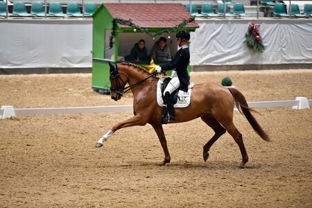 Vera Breidenbach und FBW Fürstin Primavera freuten sich in der Kreuther S-Dressur über den Sieg. | Foto: Dill Vera Breidenbach und FBW Fürstin Primavera freuten sich in der Kreuther S-Dressur über den Sieg. | Foto: Dill