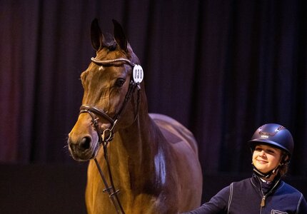 Casabea Blue PS wurde zur Preisspitze der 44. PSI-Auktion. Casabea Blue PS wurde zur Preisspitze der 44. PSI-Auktion.