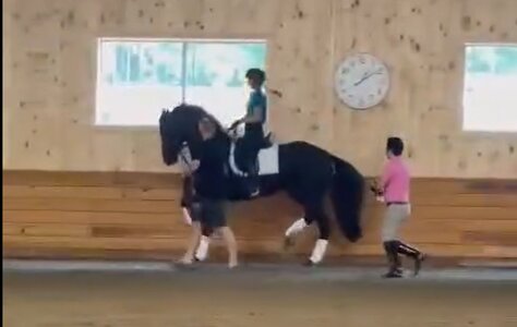 screenshot | © screenshot