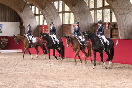 Das Team aus dem Ländle in der Mannschafts-Dressuraufgabe.  | © Maria Kühne