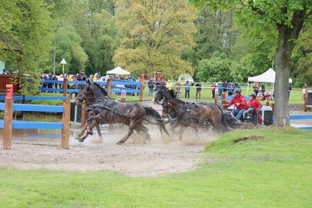 Wasser von allen Seiten in Kladruby. Michael Brauchle gelang eine gute Runde im Marathon, Platz vier. | © Foto: Herbert Rauser