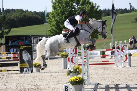 Michael Herhalt und Bella Donna springen zum Sieg. | © D. Matthaes (Archiv)