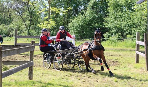 Philipp Stolzenberger mit Pony Galileo im Gelände | © Herbert Rauser 