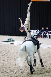 Bärenstark: Alice Layher sichert sich beim CVI Ermelo bei den Senioren den Sieg. | © Andreas Danner