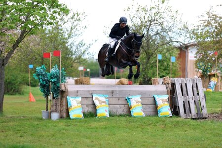 Julia Stiefele und Ogucci vd Watermolen fliegen zum Sieg. | © Dill