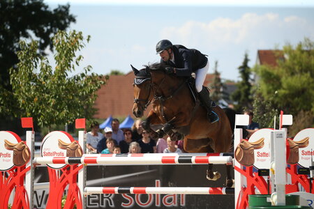 Daytona ist von nun an nicht mehr unter dem Sattel von Sven Sieger zu sehen.  | © Doris Matthaes