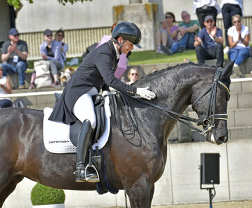 Isabell Werth sicherte sich im Mannheimer Grand Prix einen überlegenen Sieg.  | © as-sportfoto.de