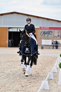 Anna Casper und Birkhof's Bacardi siegten in der DERBY Stars von Morgen Einlaufprüfung. | © Dill
