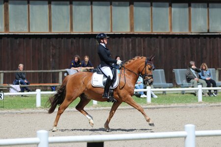 Dimacci D überzeugt unter Roxy Wein | © Leonie Wolff