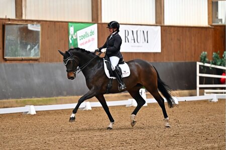 Andrea Dlugos reitet mit Fleur d´Espoir auf Platz eins | © Dill (Archiv)