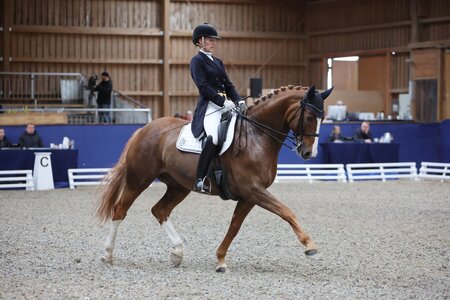 Marie-Christin Kogel und Doc-Holliday siegten in der Amateur-S-Dressur von Bietigheim-Bissingen. | © Foto (Archiv): D. Matthaes