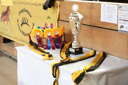 Die Jagd auf die heiß begehrten Schärpen ist eröffnet. BaWü Meisterschaft als Warm-Up für den Bundesjungzüchterwettbewerb. | © Doma